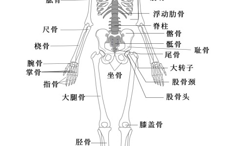 仁和和妇炎洁是什么关系-仁和妇炎康咀嚼片副作用网- 仁和妇炎洁用法与用量知识,分享仁和的妇炎康复咀嚼片效果好不